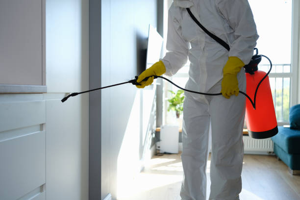 Best Toxic Mold Removal  in Trabuco Nyon, CA