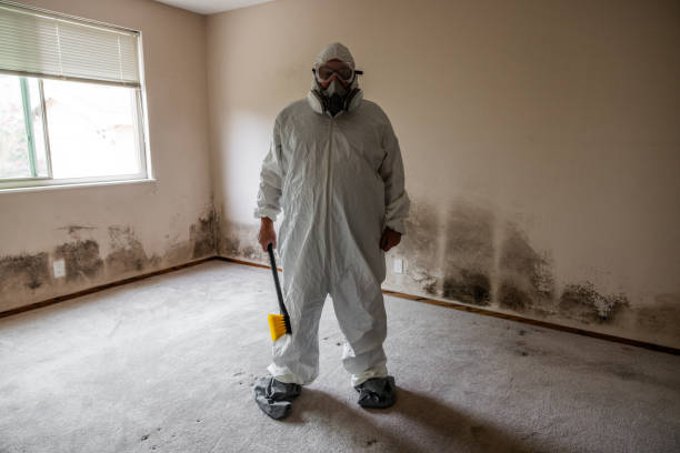 Best Local Mold Removal Service  in Trabuco Nyon, CA